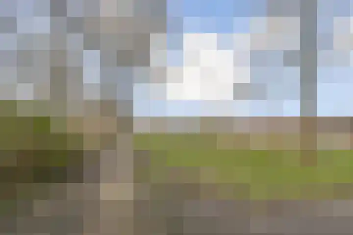 Cosseehof 22 Rotterdam thumbnail 47