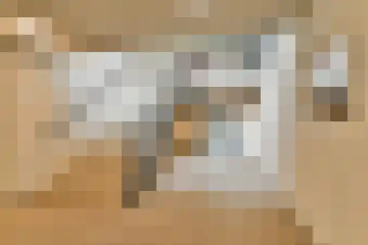 Cosseehof 22 Rotterdam thumbnail 7