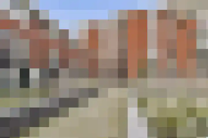 Cosseehof 22 Rotterdam thumbnail 9