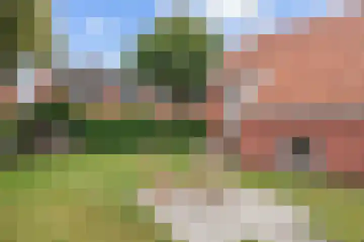Costerijweg 2 Siddeburen thumbnail 56
