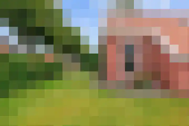 Costerijweg 2 Siddeburen thumbnail 57
