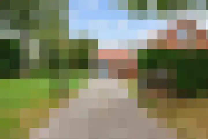 Costerijweg 2 Siddeburen thumbnail 6