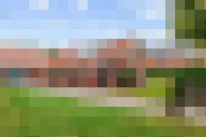 Costerijweg 2 Siddeburen thumbnail 7