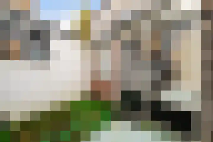 Costerlaan 2 A Zeist thumbnail 15
