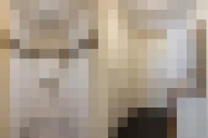 Costerlaan 2 A Zeist thumbnail 18
