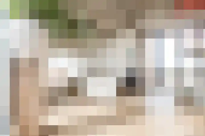 Cosunpark 1 E2 Breda thumbnail 12