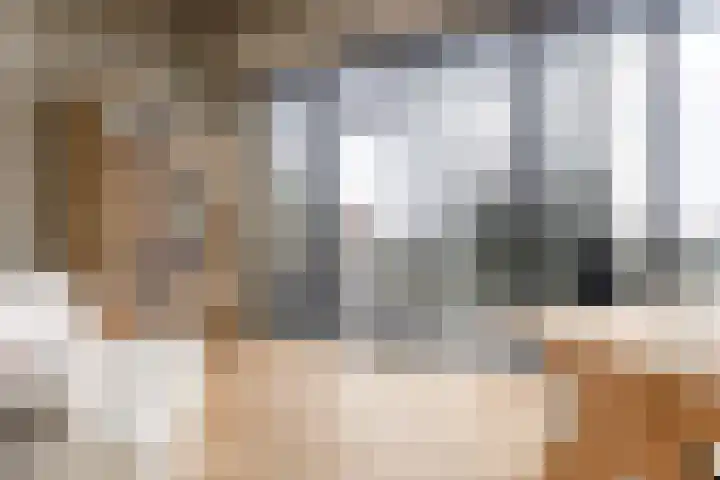 Cosunpark 1 E2 Breda thumbnail 34