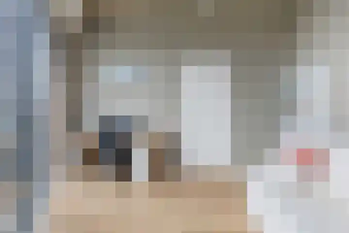 Cosunpark 1 E2 Breda thumbnail 35