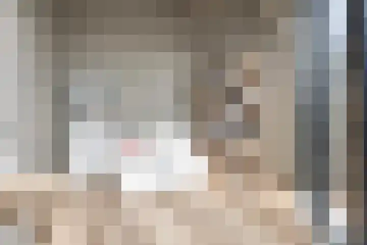 Cosunpark 1 E2 Breda thumbnail 36