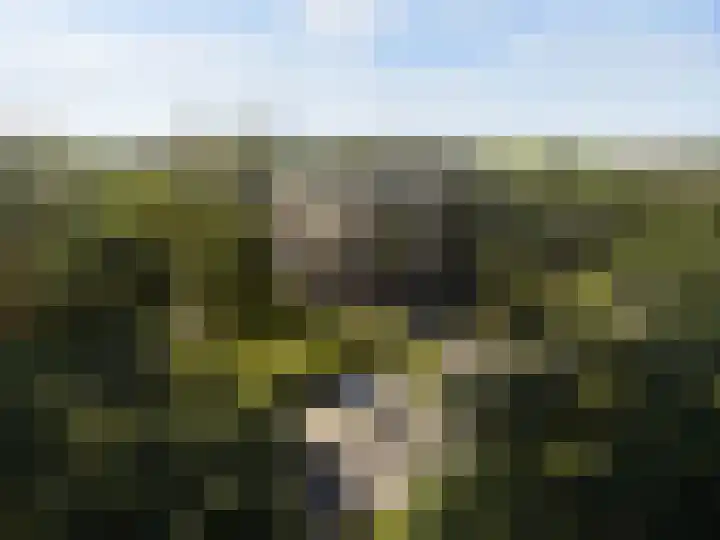 Coudewater 48 Rosmalen thumbnail 4