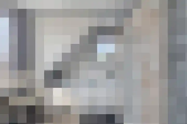 Coudorp 25 Nieuwdorp thumbnail 10