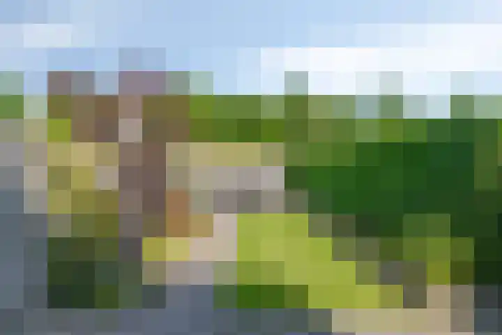 Coudorp 25 Nieuwdorp thumbnail 15