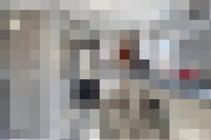 Coudorp 25 Nieuwdorp thumbnail 6