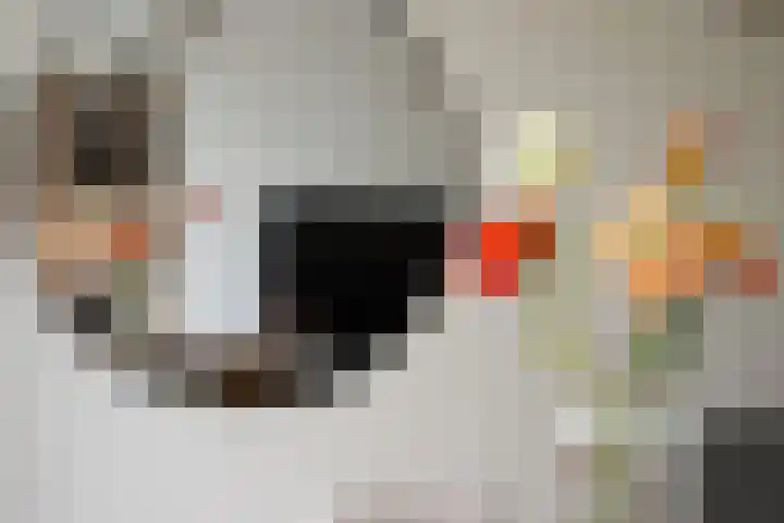 Couperusstraat 172 Groningen thumbnail 20