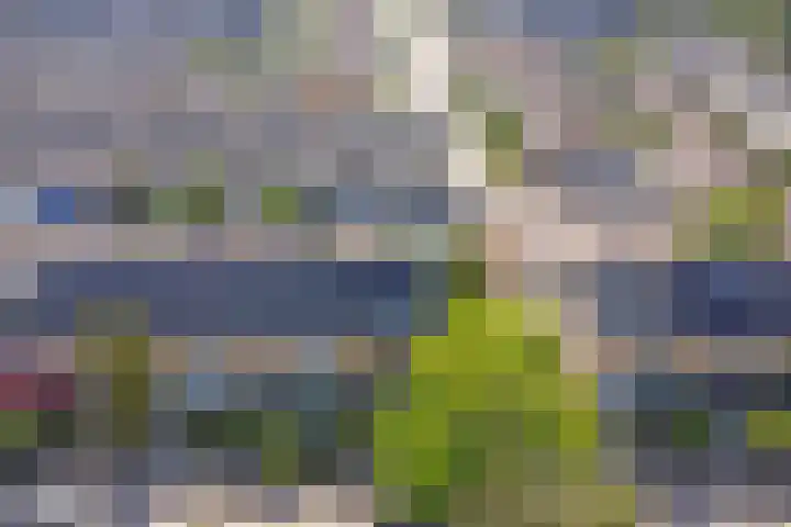 Couperusstraat 31 Ridderkerk thumbnail 33