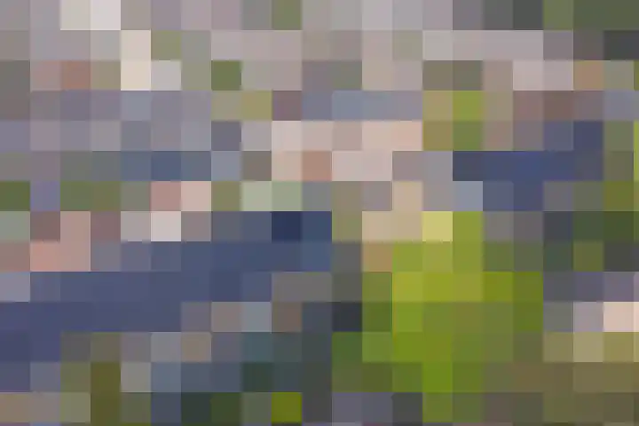 Couperusstraat 31 Ridderkerk thumbnail 34