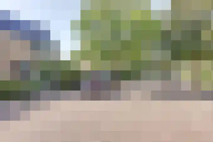 Couperusstraat 31 Ridderkerk thumbnail 5