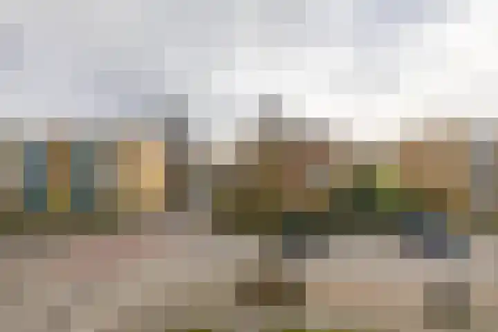 Couperusstraat 54 Groningen thumbnail 26