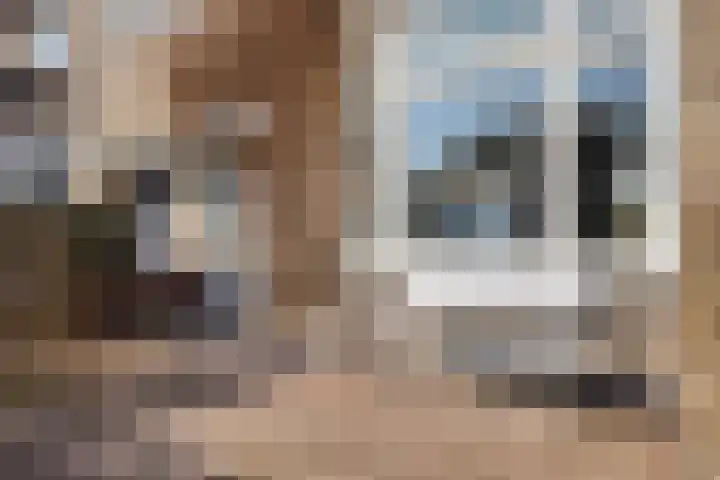 Couperusstraat 6 Arnhem thumbnail 39