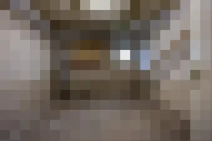 Couperusstraat 75 Groningen thumbnail 22