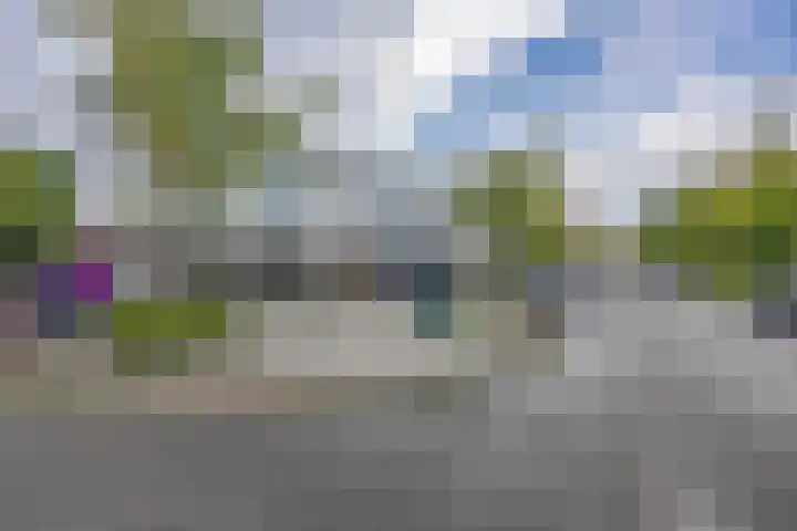 Couperusstraat 75 Groningen thumbnail 26
