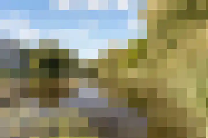 Couperusweg 8 Almere thumbnail 52