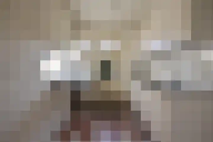 Covelakker 28 Eindhoven thumbnail 15