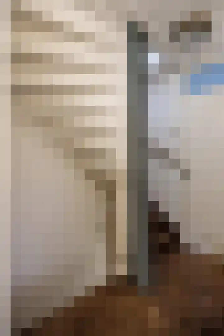 Covelakker 28 Eindhoven thumbnail 20
