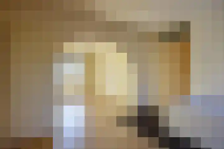 Covelakker 28 Eindhoven thumbnail 26
