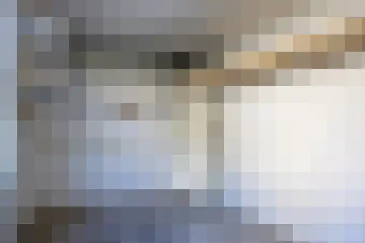 Covelakker 28 Eindhoven thumbnail 42