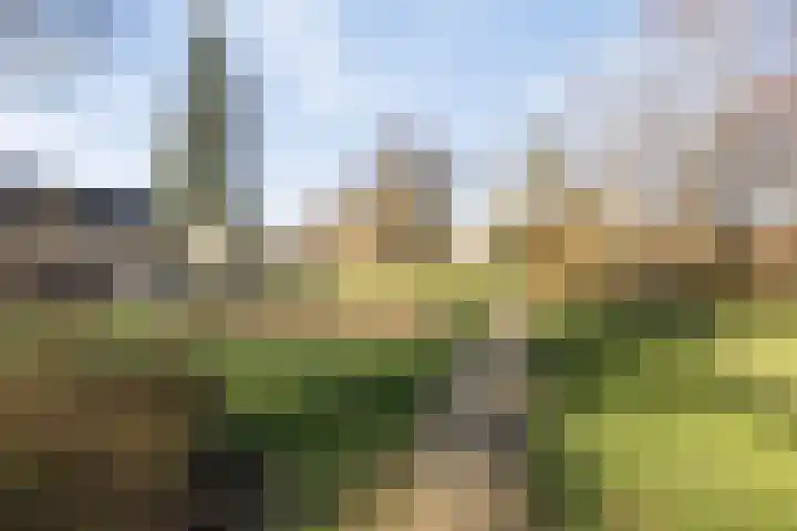 Covelakker 28 Eindhoven thumbnail 44