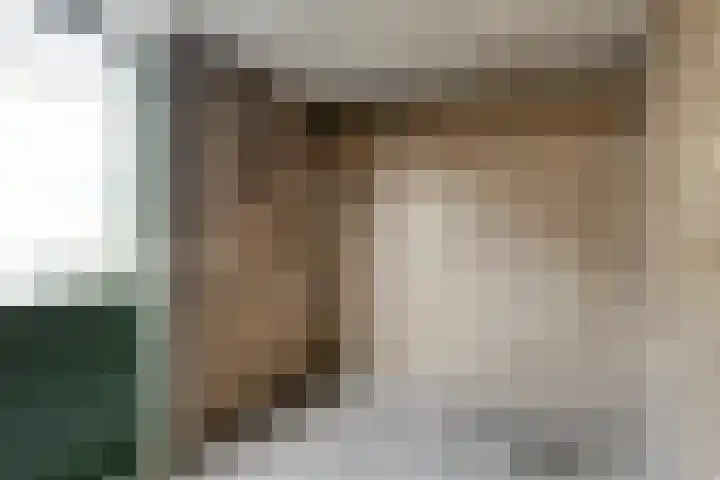 Covelakker 6 Eindhoven thumbnail 23
