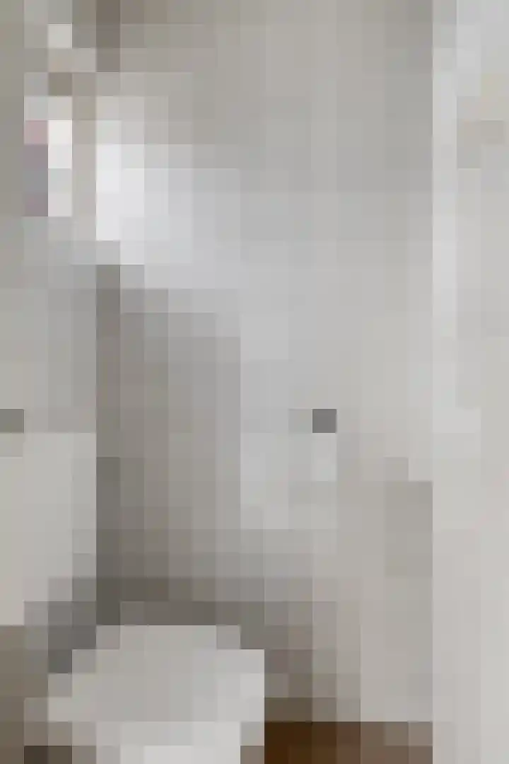 Covelakker 6 Eindhoven thumbnail 9