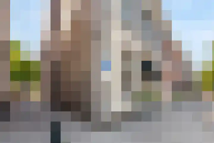 Coxstraat 13 Maastricht thumbnail 31