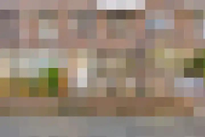 Coxstraat 20 Maastricht