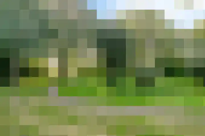 Coxstraat 58 Kapelle thumbnail 36