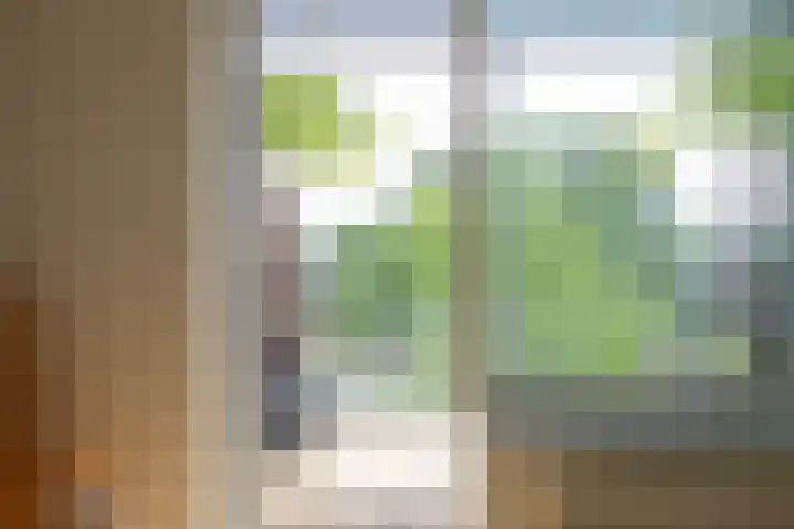 Crabethstraat 9 E Eindhoven thumbnail 11
