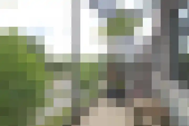 Crabethstraat 9 E Eindhoven thumbnail 12