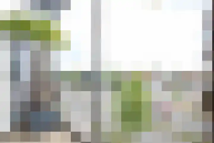 Crabethstraat 9 E Eindhoven thumbnail 13