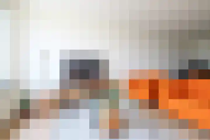 Crabethstraat 9 E Eindhoven thumbnail 19