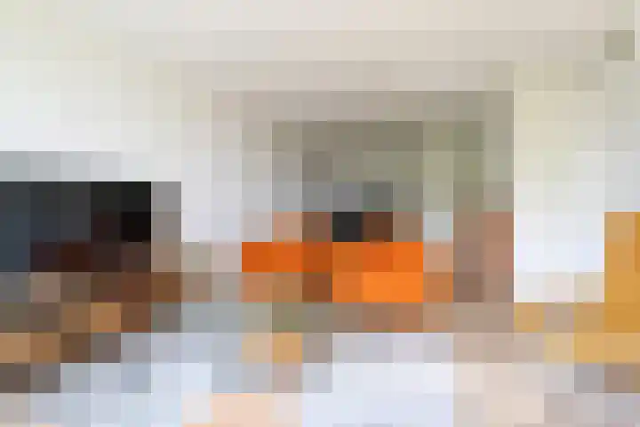 Crabethstraat 9 E Eindhoven thumbnail 20