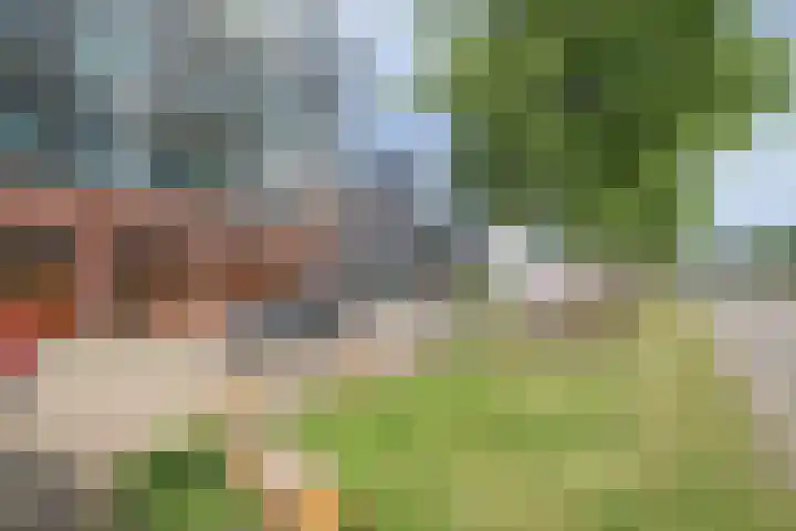 Crabethstraat 9 E Eindhoven thumbnail 47