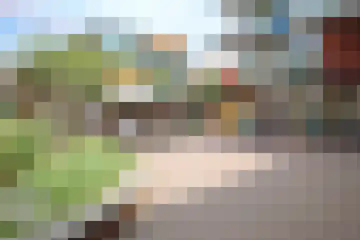 Crabethstraat 9 E Eindhoven thumbnail 49