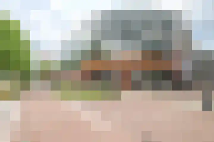 Crabethstraat 9 E Eindhoven thumbnail 55