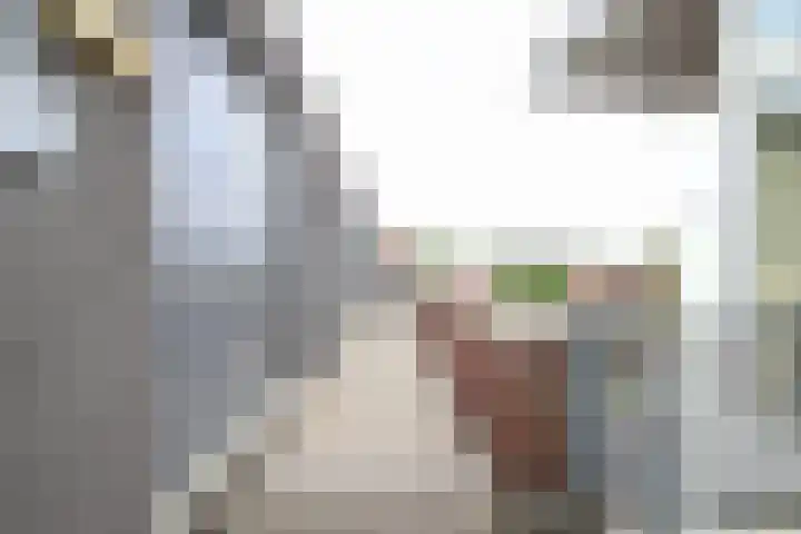 Crabethstraat 9 E Eindhoven thumbnail 9