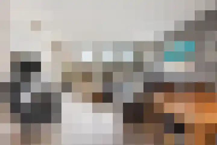 Crack-State 7 Amsterdam