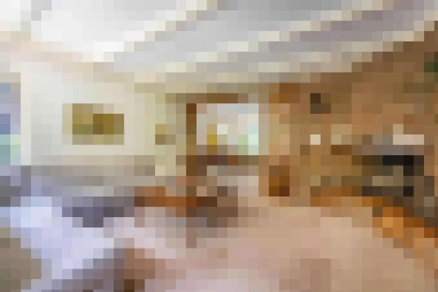 Crailoseweg 48 Huizen thumbnail 26