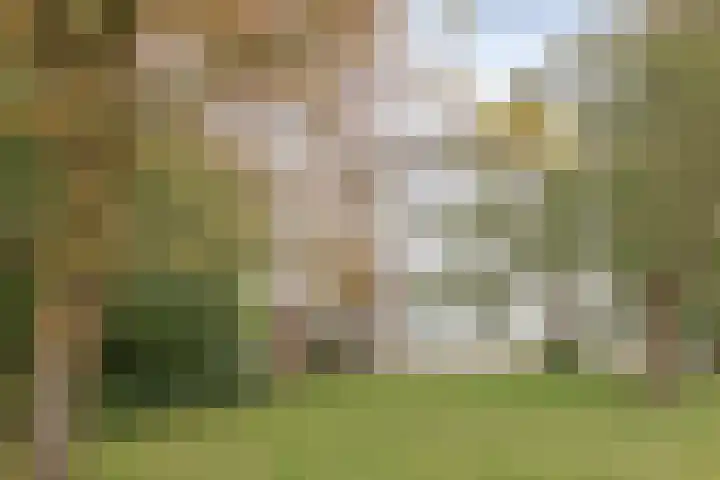 Cranendoncklaan 74 Budel