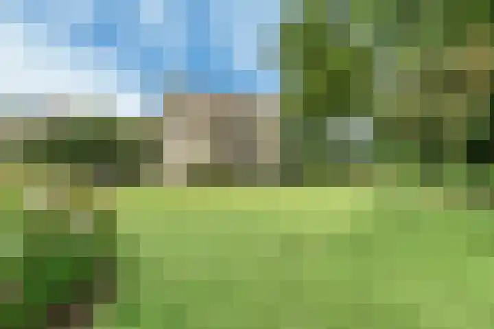 Crayenesterlaan 134 C Haarlem