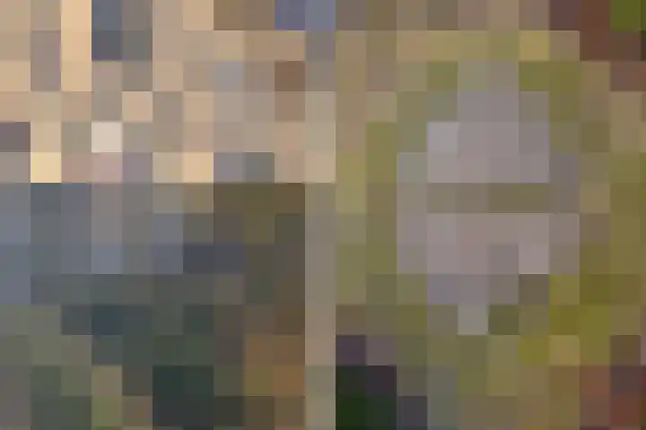Crayenesterlaan 61 Haarlem thumbnail 8